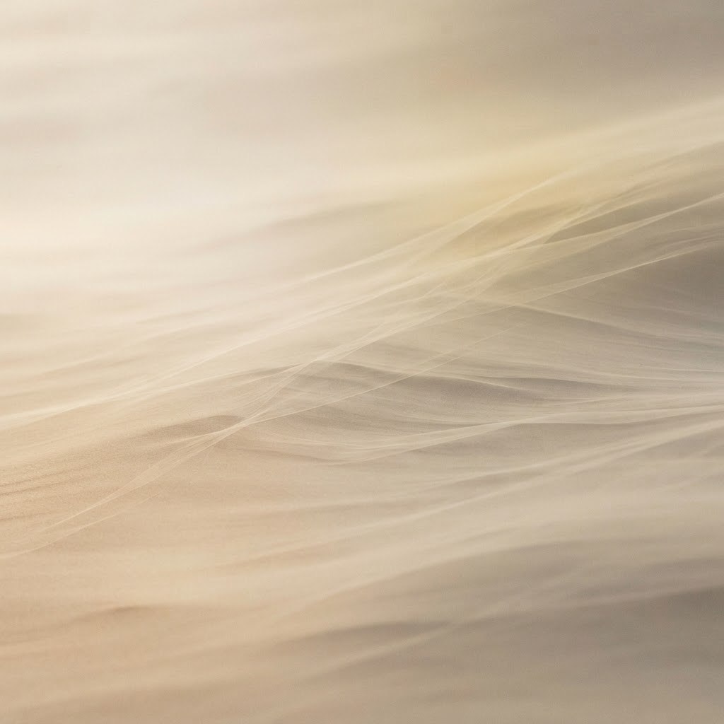 Abstract warm light and shadow gradient in ivory, sand and champagne tones
